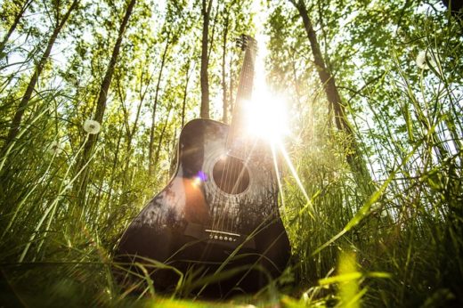 Gitarre im Wald