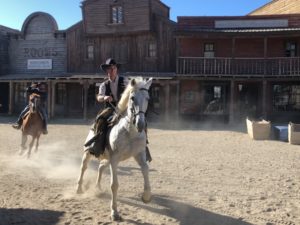Pferde in der Westernshow
